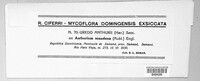 Image Associated With the Occurence